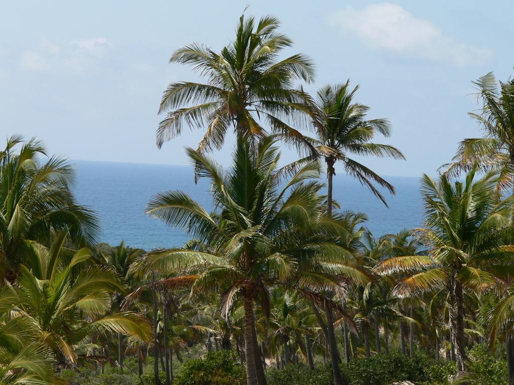 Blue Moon Beach Holiday Resort Inhambane Værelse billede