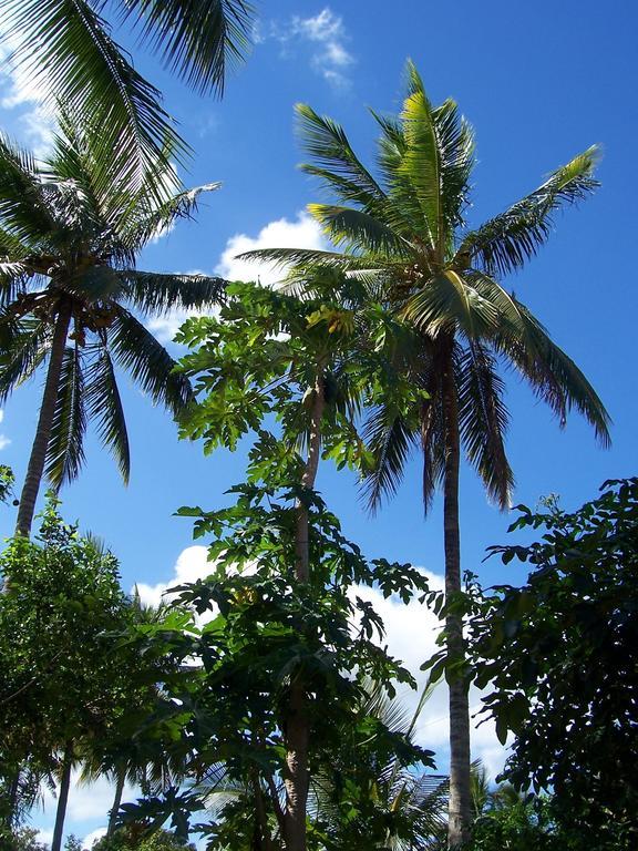 Blue Moon Beach Holiday Resort Inhambane Eksteriør billede