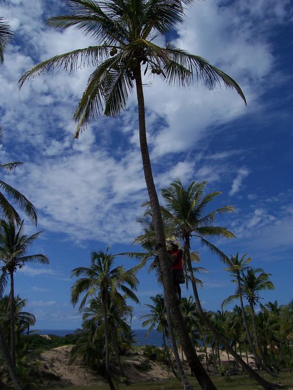 Blue Moon Beach Holiday Resort Inhambane Eksteriør billede